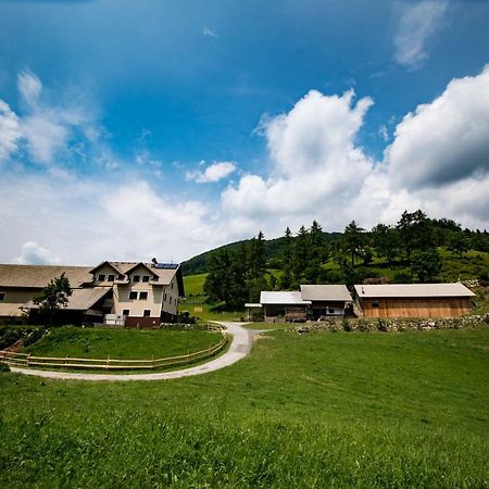 Tourist Farm Pr'Dovar Cerklje na Gorenjskem Εξωτερικό φωτογραφία