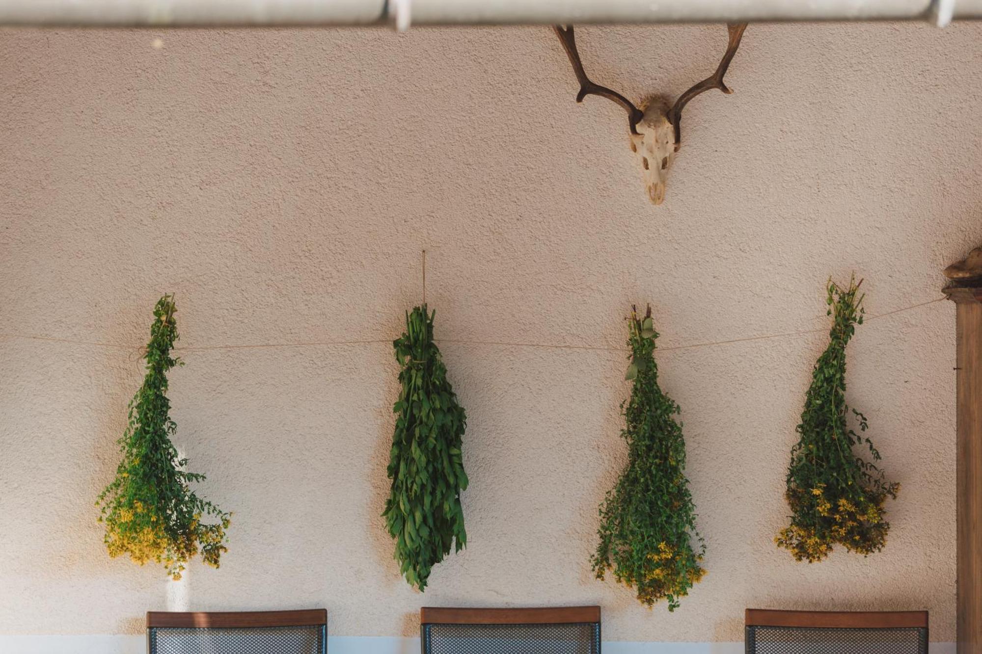 Tourist Farm Pr'Dovar Cerklje na Gorenjskem Εξωτερικό φωτογραφία