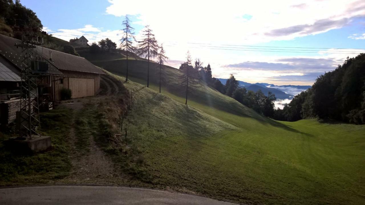 Tourist Farm Pr'Dovar Cerklje na Gorenjskem Εξωτερικό φωτογραφία